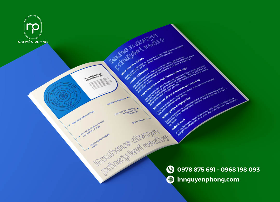 Bố cục trình bày catalogue cần phải hợp lí, rõ ràng 